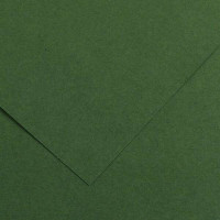 Canson Guarro Pack de 25 Cartulinas Iris de 185g - 50x65cm - Color Verde Amazonas