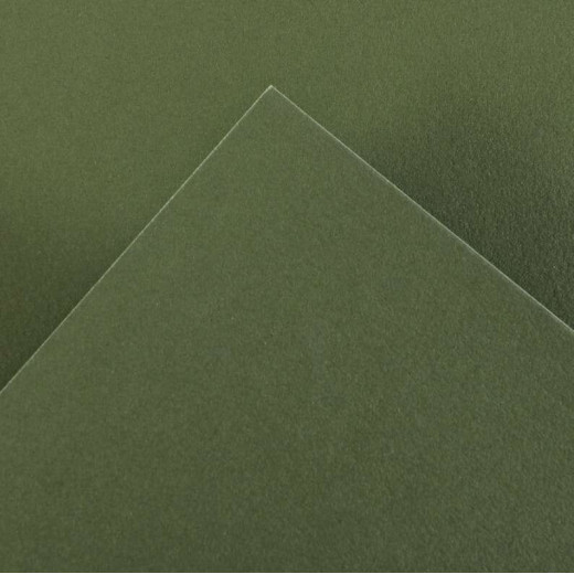Canson Guarro Pack de 25 Cartulinas Iris de 185g - 50x65cm - Color Verde Safari