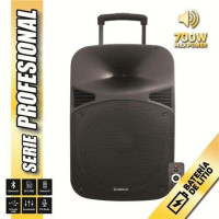 Coolsound Serie Pro Altavoz Autoamplificado Bluetooth 15" 700W Max Power con Bateria - USB