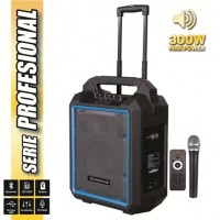 Coolsound Pro 300 Altavoz Autoamplificado Bluetooth 300W 10 pulgadas 80W RMS con Bateria - USB