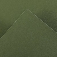 Canson Guarro Pack de 25 Cartulinas Iris de 185g - 50x65cm - Color Verde Safari