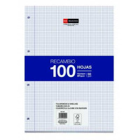 Miquel Rius Recambio Formato A4 - 100 Hojas Sueltas de 90gr con 4 Taladros - Cuadricula 4x4 con Margen