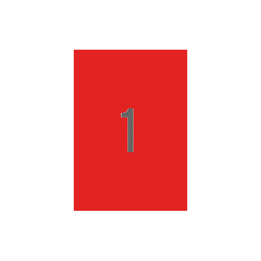 Apli Etiquetas Rojo Fluorescente Permanentes 210.0 x 297.0mm 100 Hojas