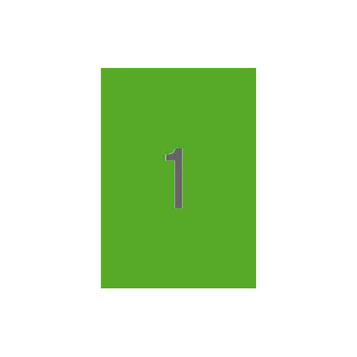 Apli Etiquetas Verde Fluorescente Permanentes 210.0 x 297.0mm 100 Hojas