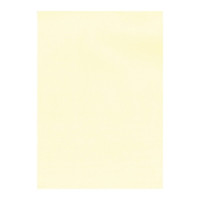 Apli Pack de 100 Hojas de Papel Verjurado - Alta Calidad - 100gr - Apto para Impresoras y Escritura Manual - Color Crema