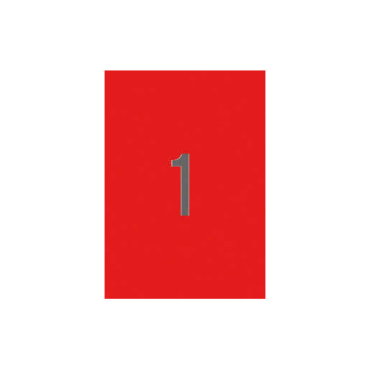 Apli Etiquetas Rojas Permanentes 210.0 x 297.0mm 20 Hojas