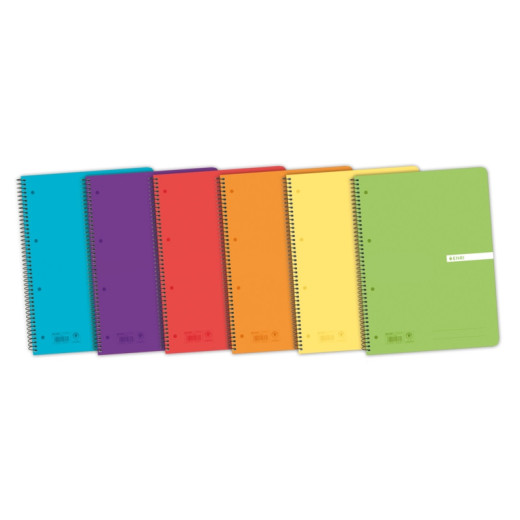 Enri Status Europeanbook A4+ Tapa de Plastico Translucido - Cuaderno con 120 Hojas - Formato 5x5 - Surtido de Colores - Ideal para Apuntes y Dibujos